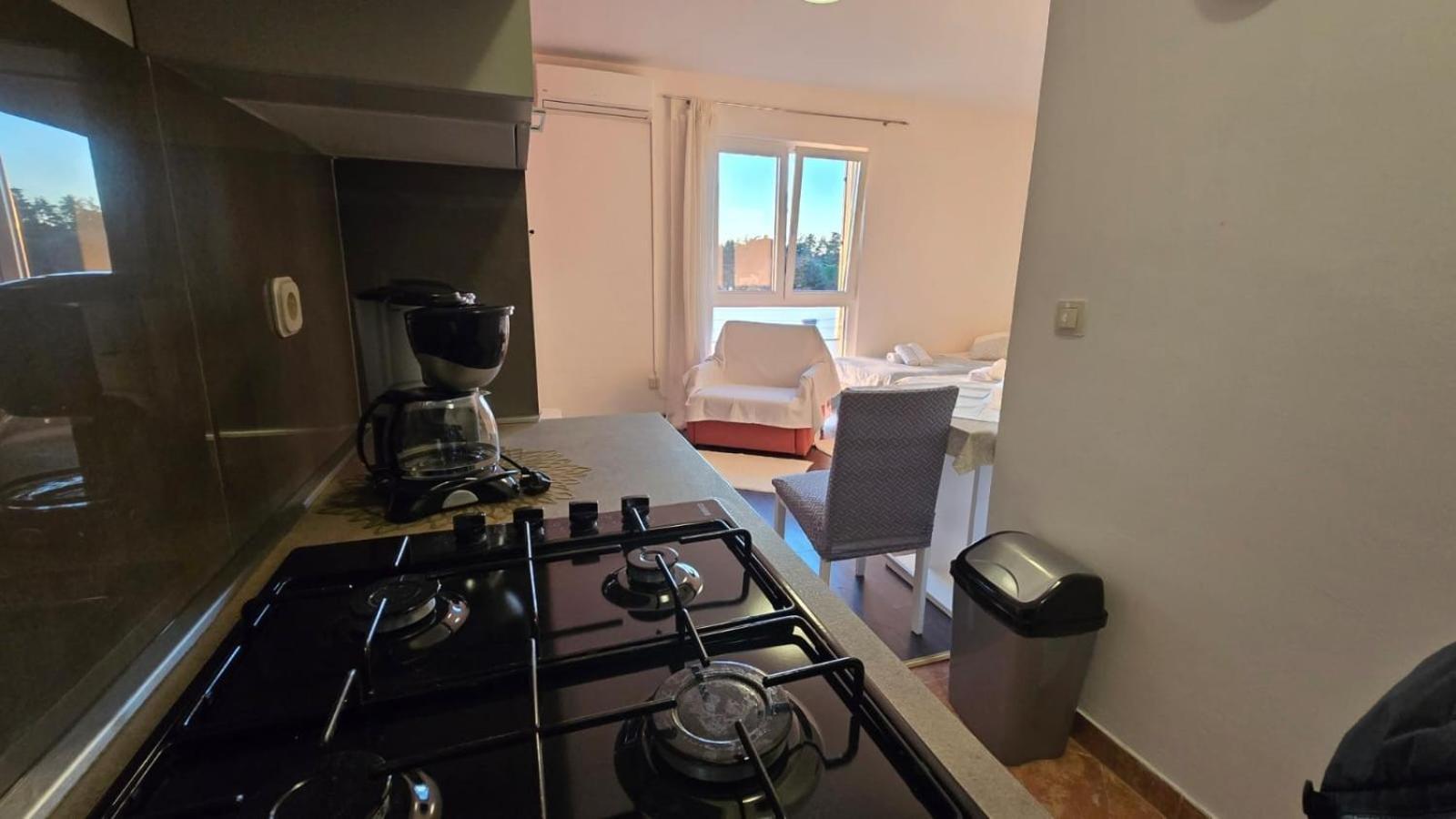 Studio Apartment Ljubica For 2 Persons 150M From The Beach بوريتش المظهر الخارجي الصورة